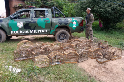Polícia Ambiental resgata 28 pássaros silvestres mantidos em cativeiro em Sumidouro