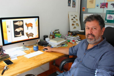 Pesquisadores descobrem nova espécie de cervo no Peru