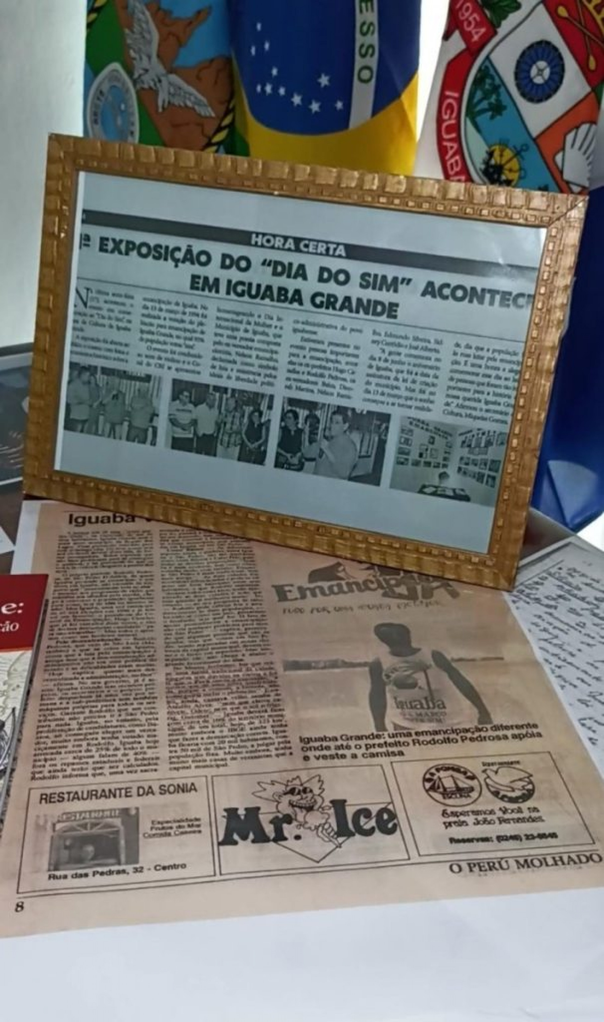 Exposi&ccedil;&atilde;o do "Dia do Sim"  - Divulga&ccedil;&atilde;o  