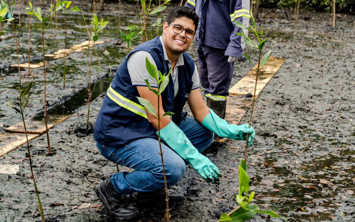 Cerca de 30 funcion&aacute;rios realizaram o plantio de 13,5 mil em manguezal