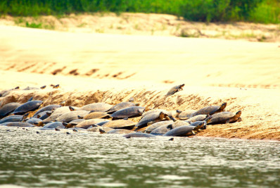 Rio Fervendo aos 60 Graus, Amazônia Seca, Cartagena inundada e 5 Países Sumindo do Mapa...