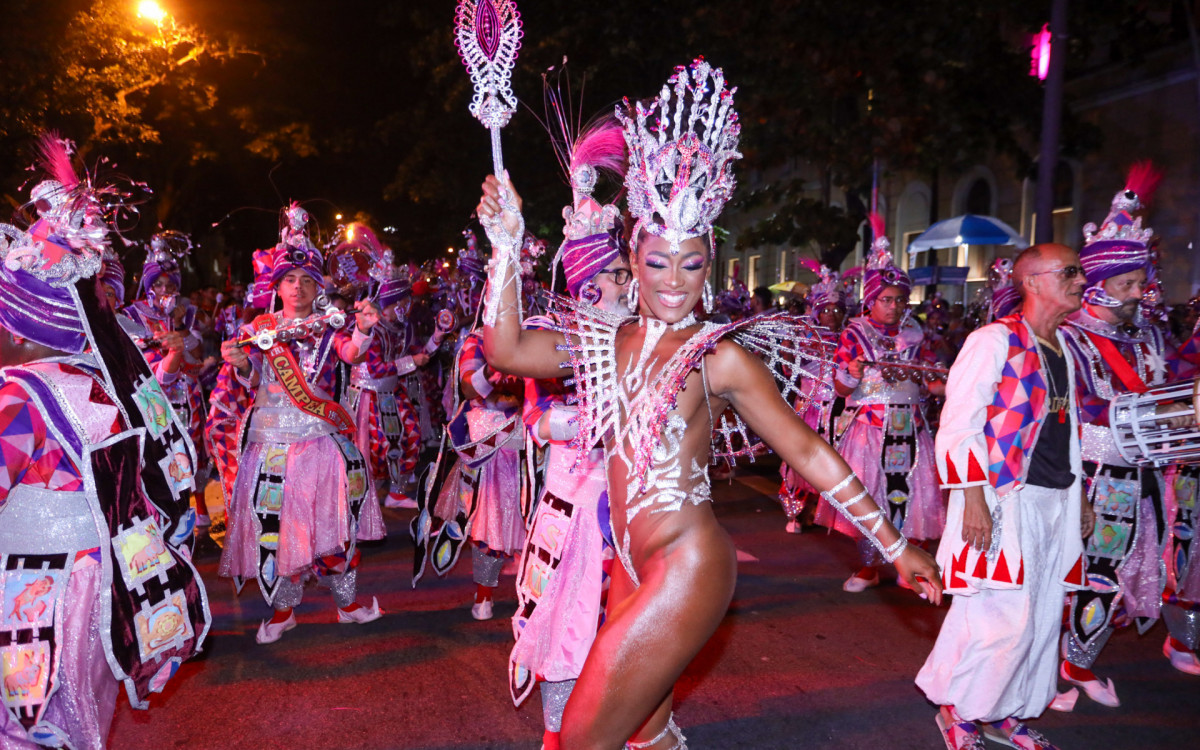 Erika Januza participa de desfile da Viradouro em Niterói
