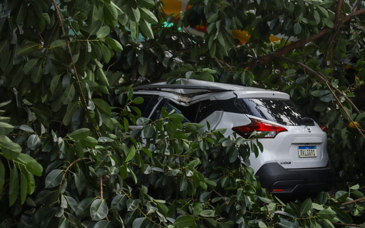 Na queda, um veículo ficou preso