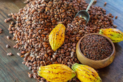 Caxias e Unirio realizam curso de formação sobre segurança alimentar