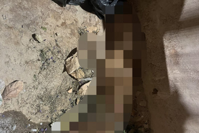 Cachorro é abandonado amarrado dentro caçamba de entulho em rua na Zona Norte