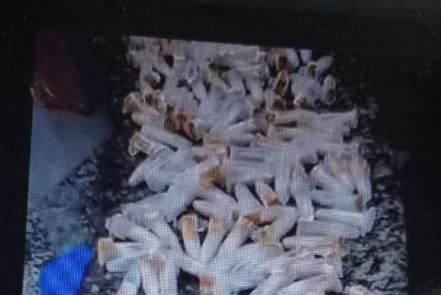 Foragido da Justiça é preso pela PM em Muriqui