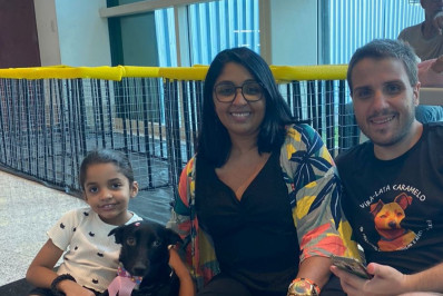 Volta Redonda: seis animais ganham novos lares no espaço de adoção da prefeitura