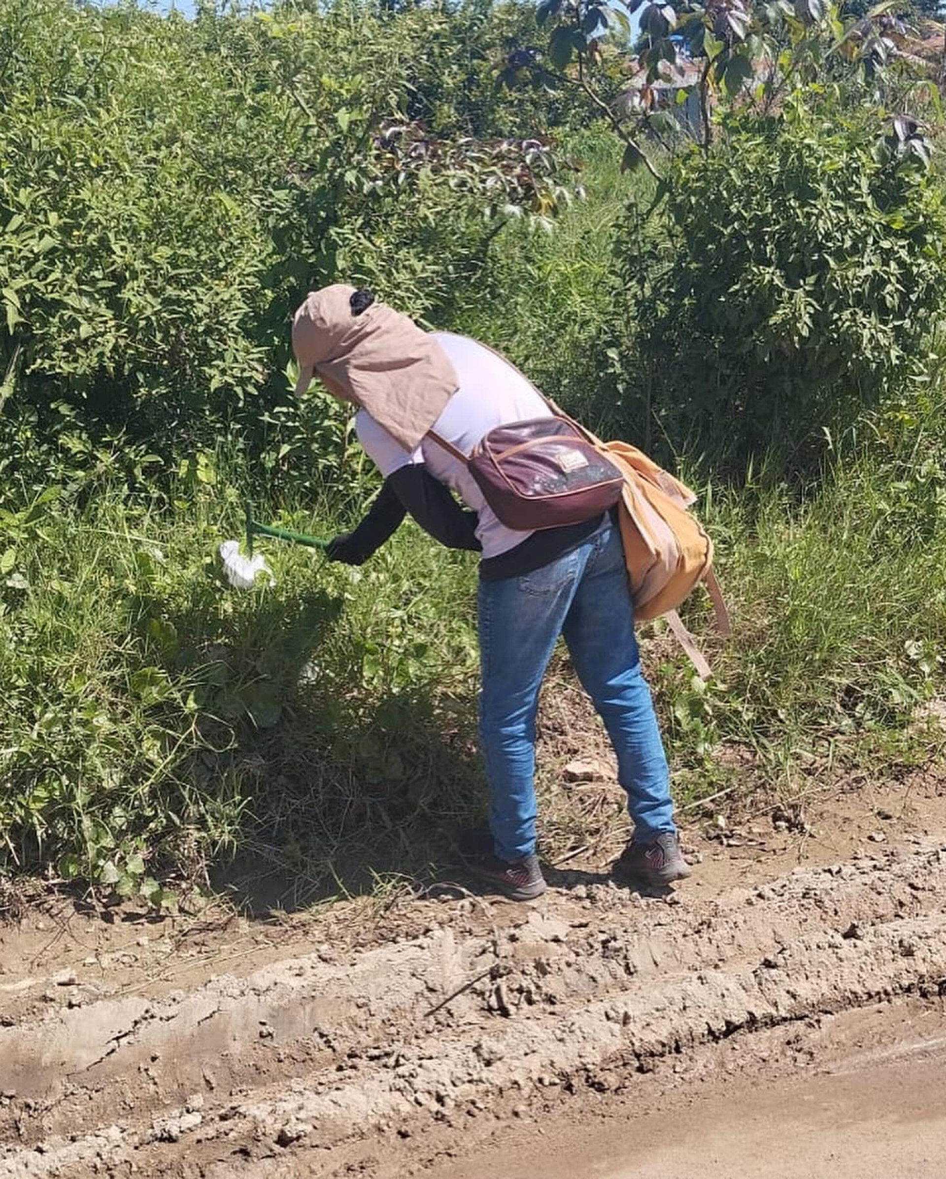 É importante ressaltar que, além da dengue, o mosquito também é transmissor da chikungunya e zika. A conscientização e colaboração entre os munícipes e o poder público é imprescindível para minimizar as ocorrências das doenças