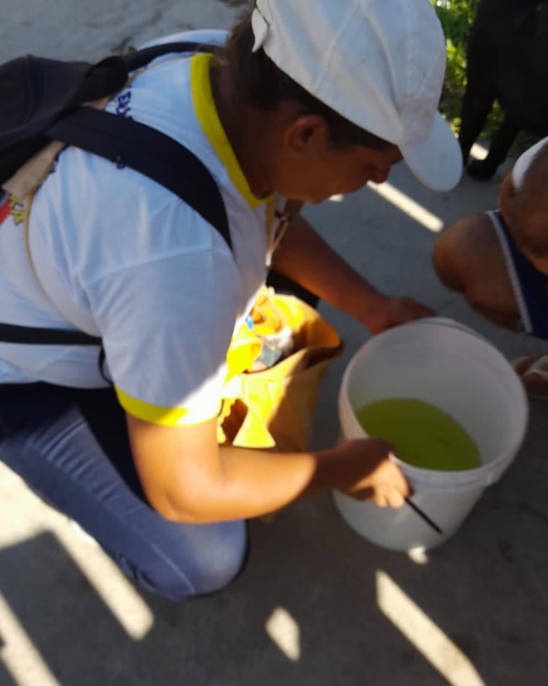 Dia D de Combate à Dengue - Parati