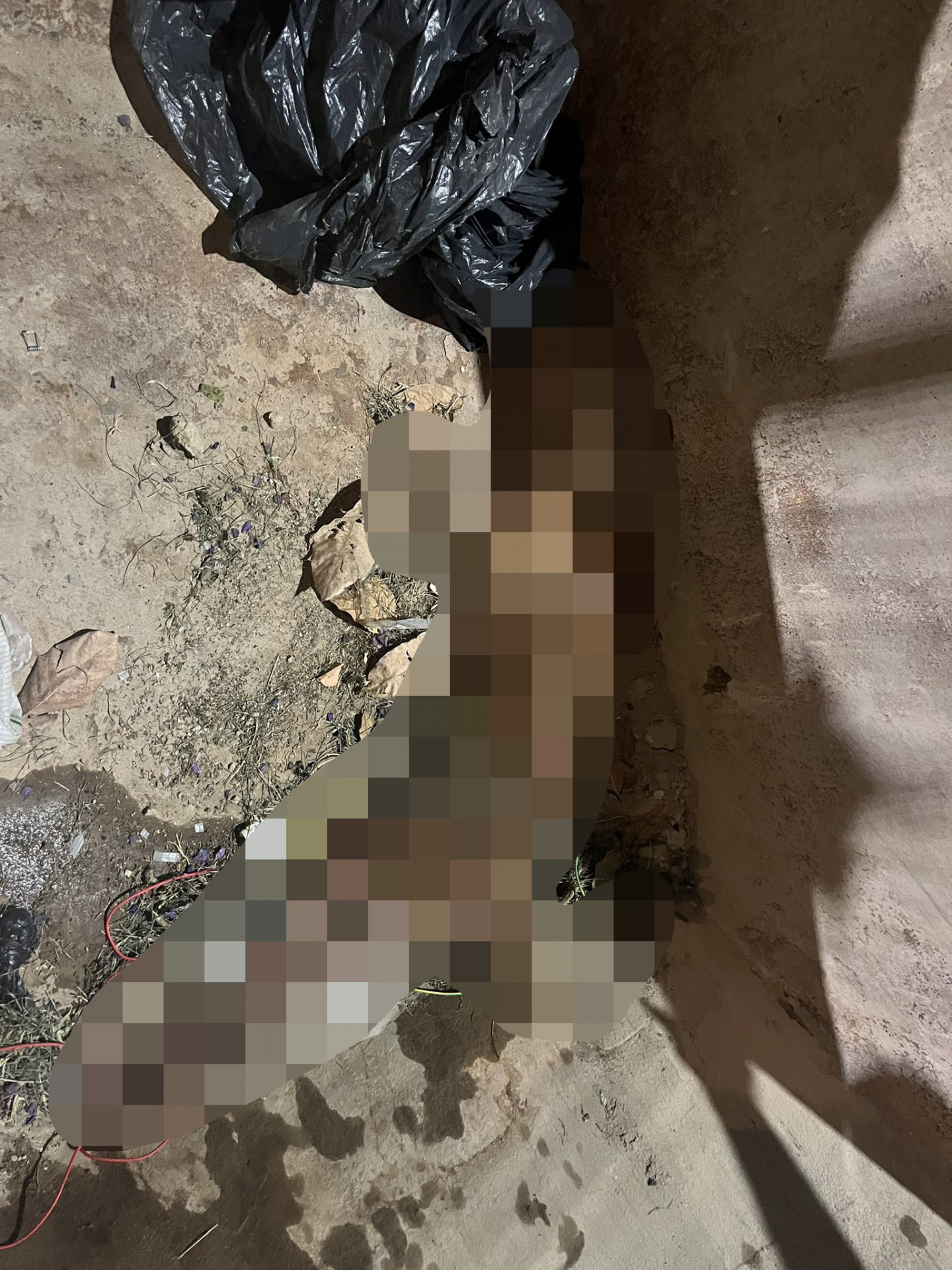 Cachorro foi jogado dentro de caçamba de lixo com as patas amarradas, enrolado com corda e sacos