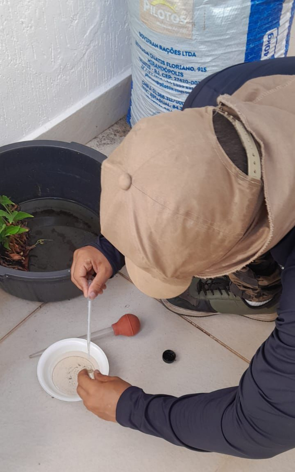 Campanha de combate à dengue 