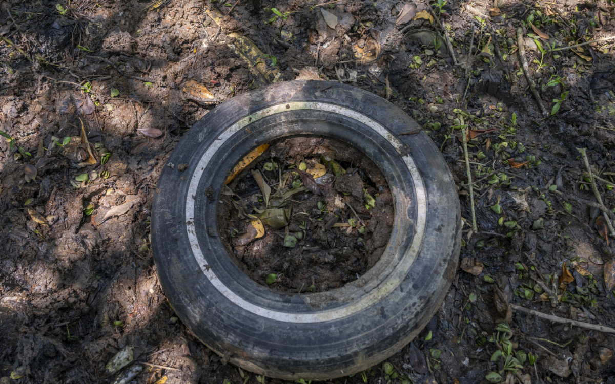 Desafio ambiental na Ba&iacute;a de Guanabara: ?Ilha de lixo? recebe limpeza - Rodrigo Campan&aacute;rio/Divulga&ccedil;&atilde;o