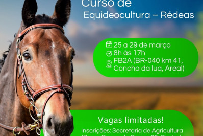 Curso de equideocultura será realizado neste mês em Areal