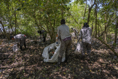 Desafio ambiental na Baía de Guanabara: ‘Ilha de lixo’ recebe limpeza