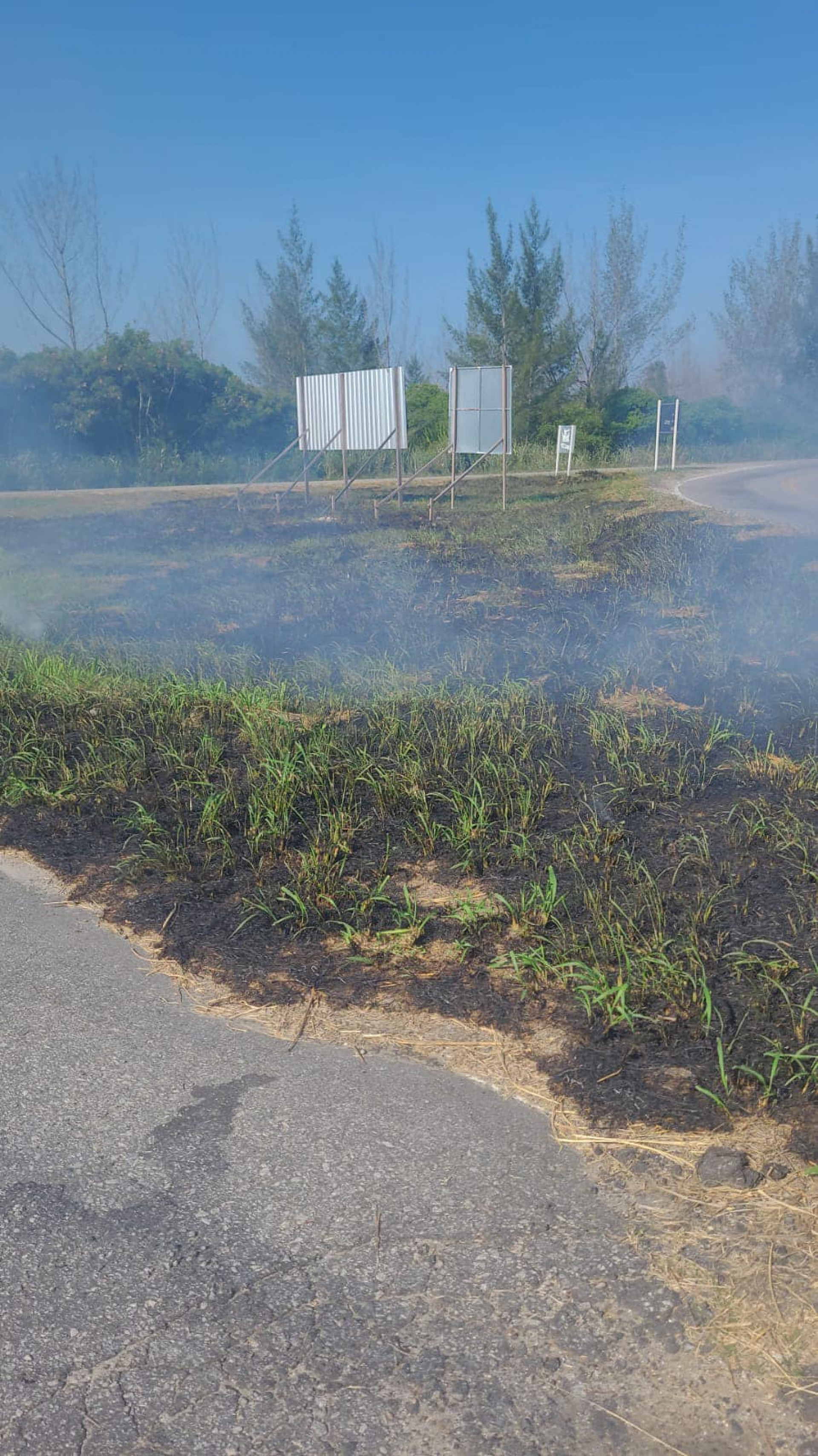 Grupamento Ambiental e Marítimo da cidade (GOPAM) imediatamente combateu o foco e conseguiu controlar as chamas - Ascom