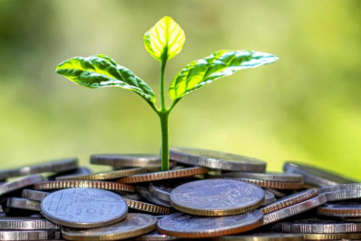 Câmara aprova criação de 'fundo verde' com aval do BNDES para financiar atividades sustentáveis