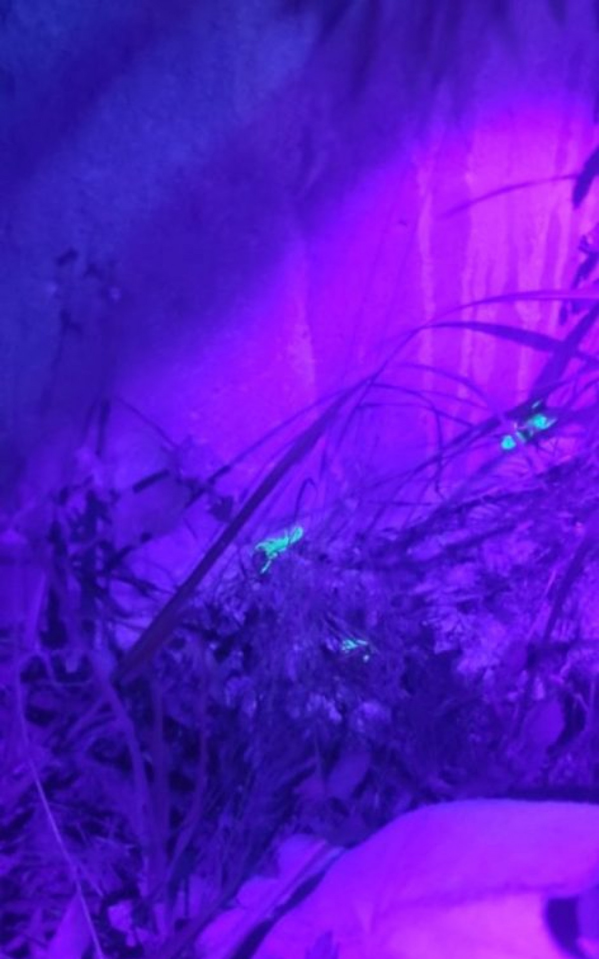 Imagem registrada em fevereiro de 2024