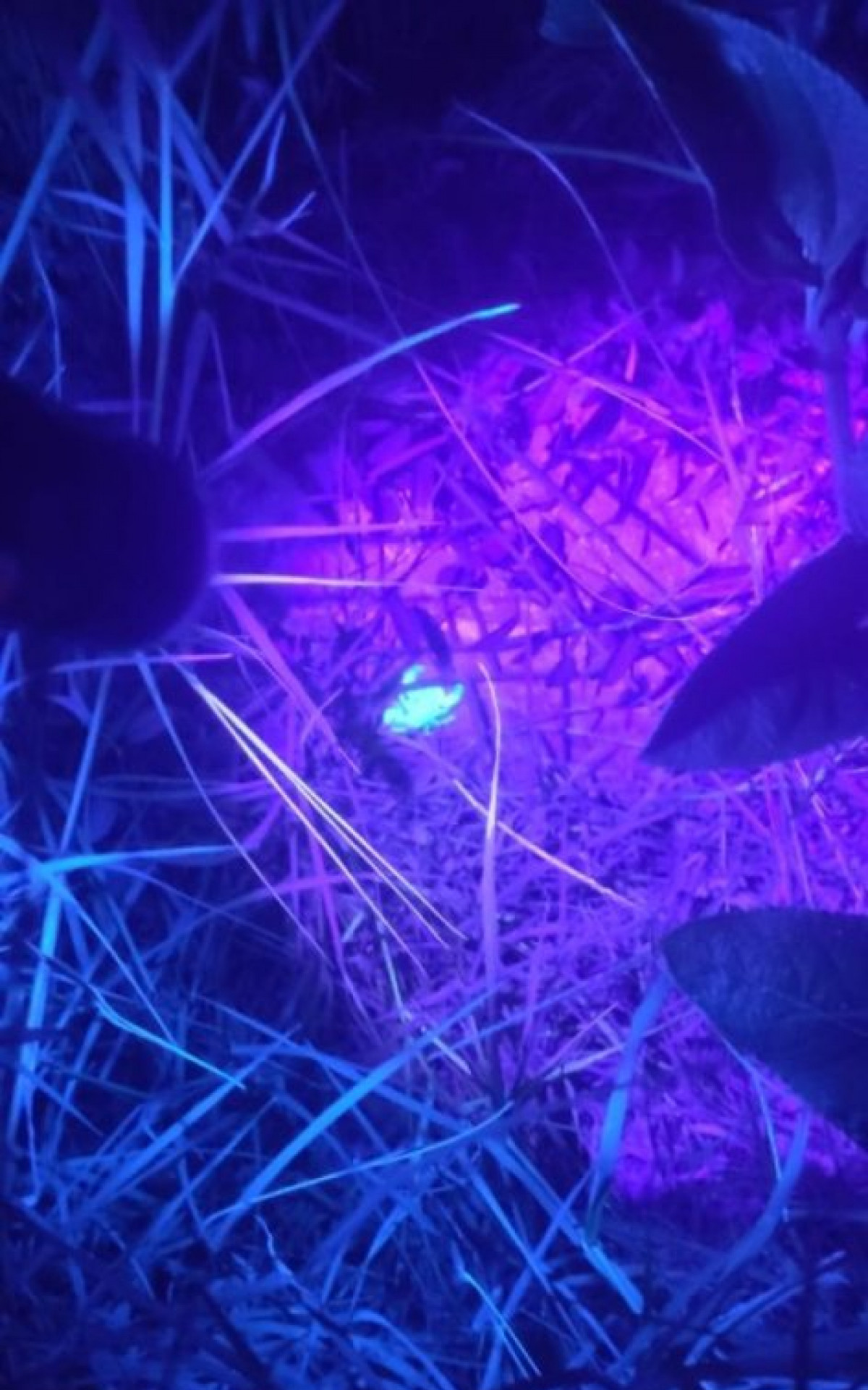 Imagem registrada em fevereiro de 2024