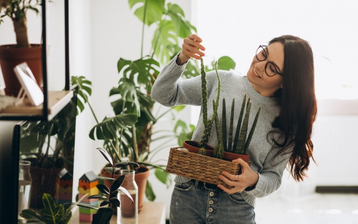 Com a chegada do outono, &eacute; necess&aacute;rio dar aten&ccedil;&atilde;o especial &agrave;s plantas (Imagem: PH888 | Shutterstock)