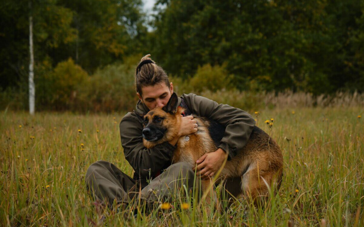 Pastores alem&atilde;es s&atilde;o leais aos tutores (Imagem: lightman_pic | Shutterstock) 