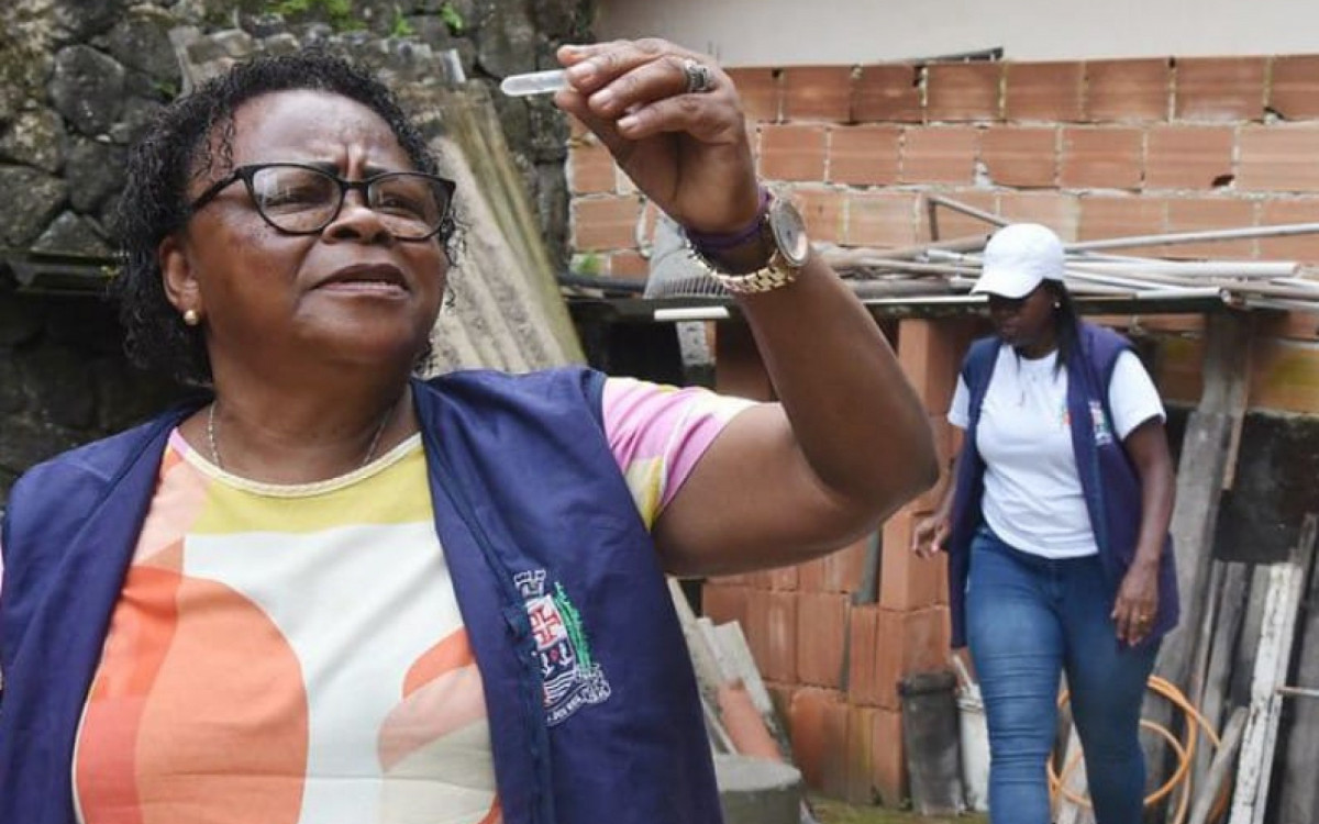 Agentes vistoriam casas em todo município e fazem coleta para análise de possíveis criadouros do Aedes aegypti