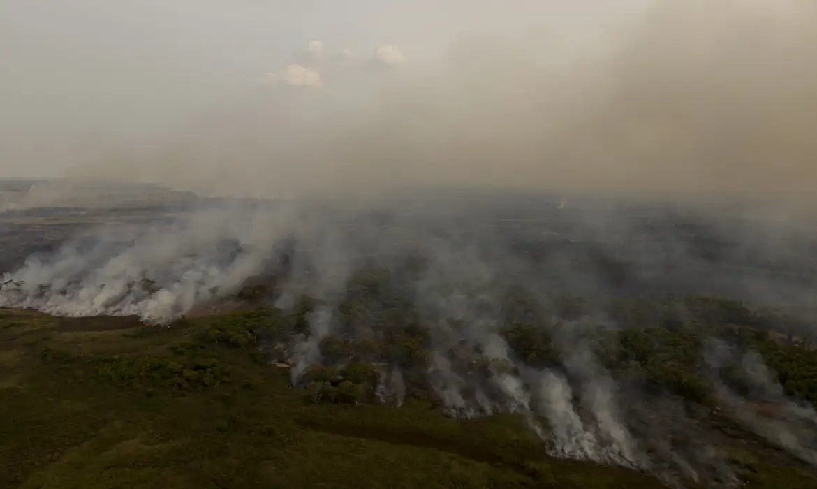 PL que muda C&oacute;digo Florestal vai desproteger 48 milh&otilde;es de hectares 