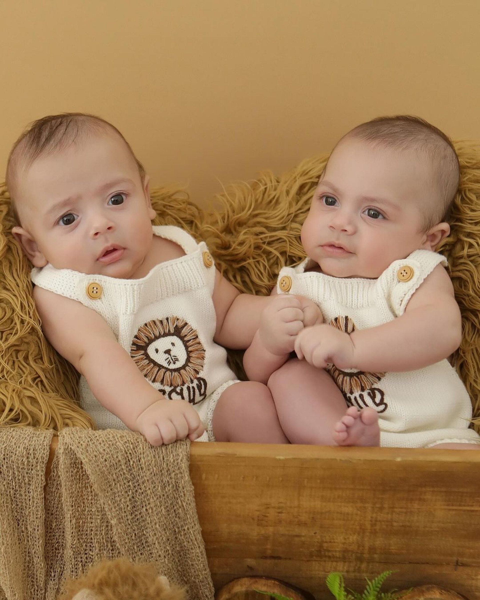 Bárbara Evans encanta ao publicar ensaio fotográfico dos filhos gêmeos - Reprodução