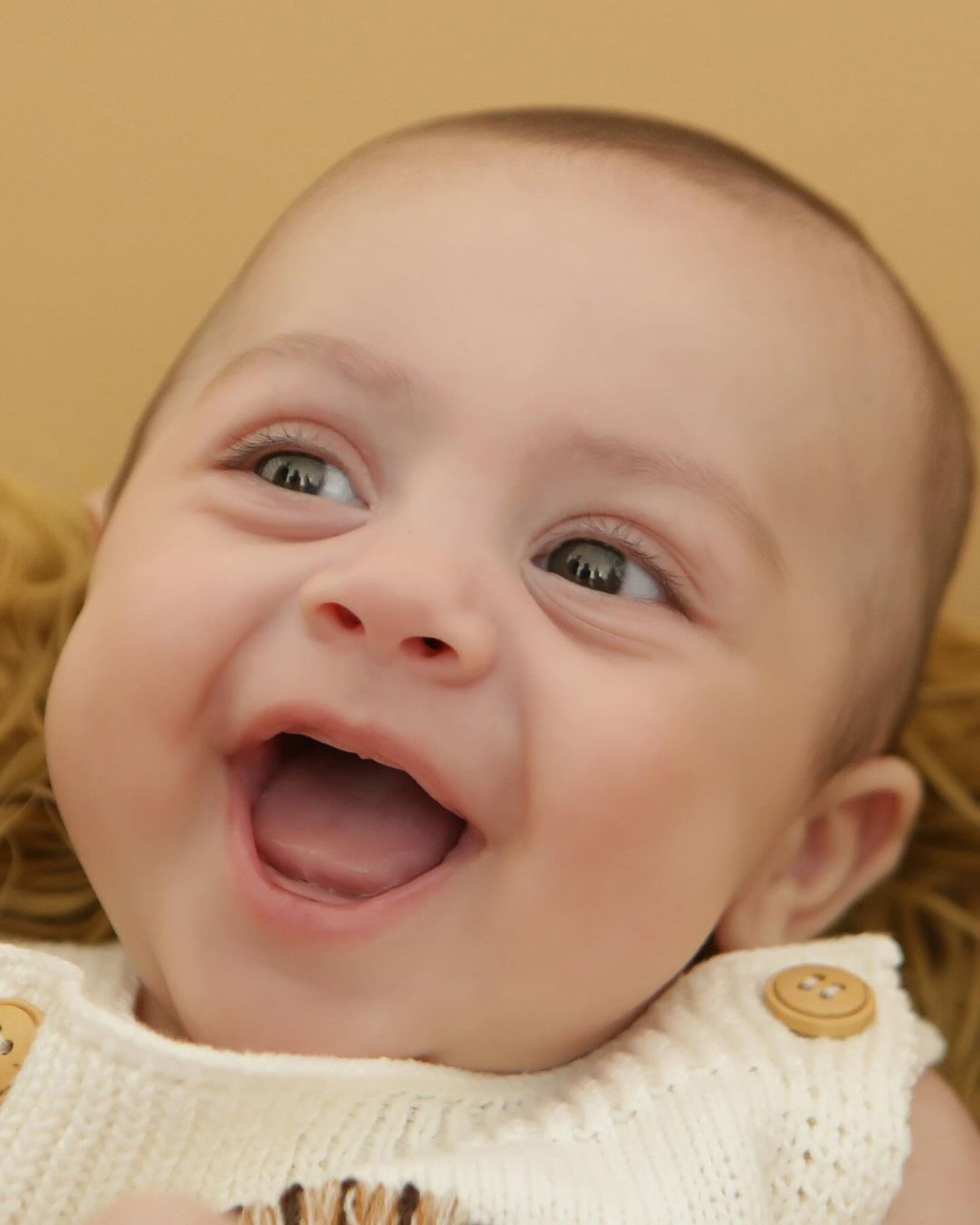 Bárbara Evans encanta ao publicar ensaio fotográfico dos filhos gêmeos - Reprodução