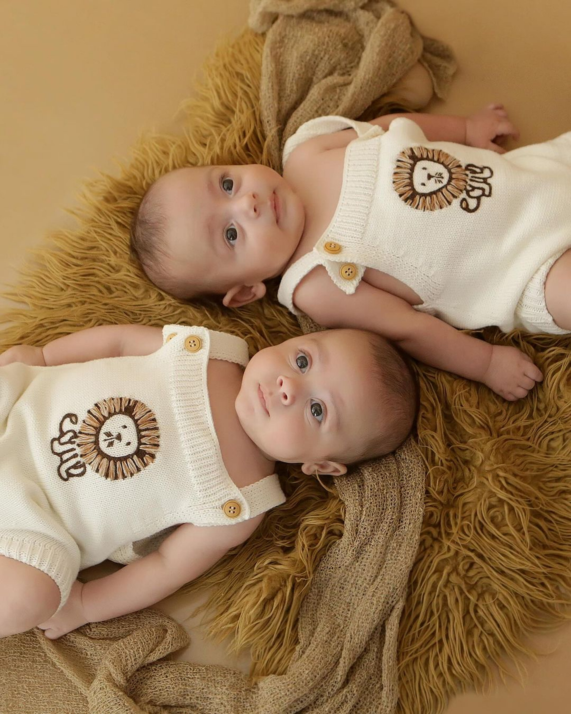 Bárbara Evans encanta ao publicar ensaio fotográfico dos filhos gêmeos - Reprodução