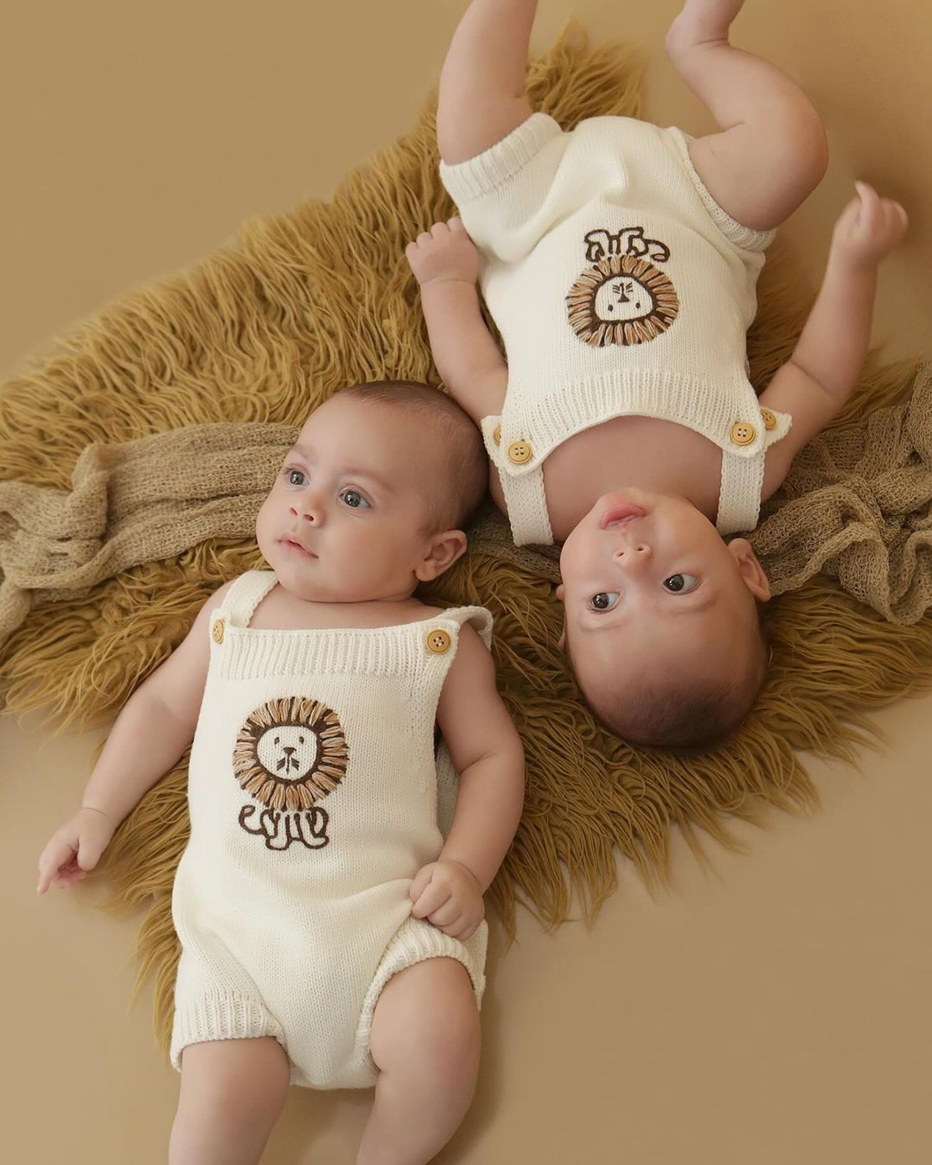 Bárbara Evans encanta ao publicar ensaio fotográfico dos filhos gêmeos - Reprodução