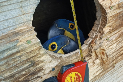 Serras usadas para preservação ambiental. Como assim?