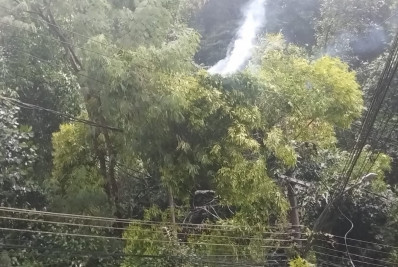 Vento derruba árvore na Gávea e deixa trânsito intenso