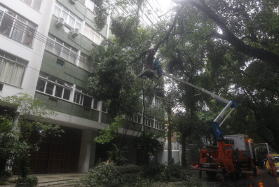 Árvore cai parcialmente e fica pendurada em cima de fios de alta tensão na Zona Sul