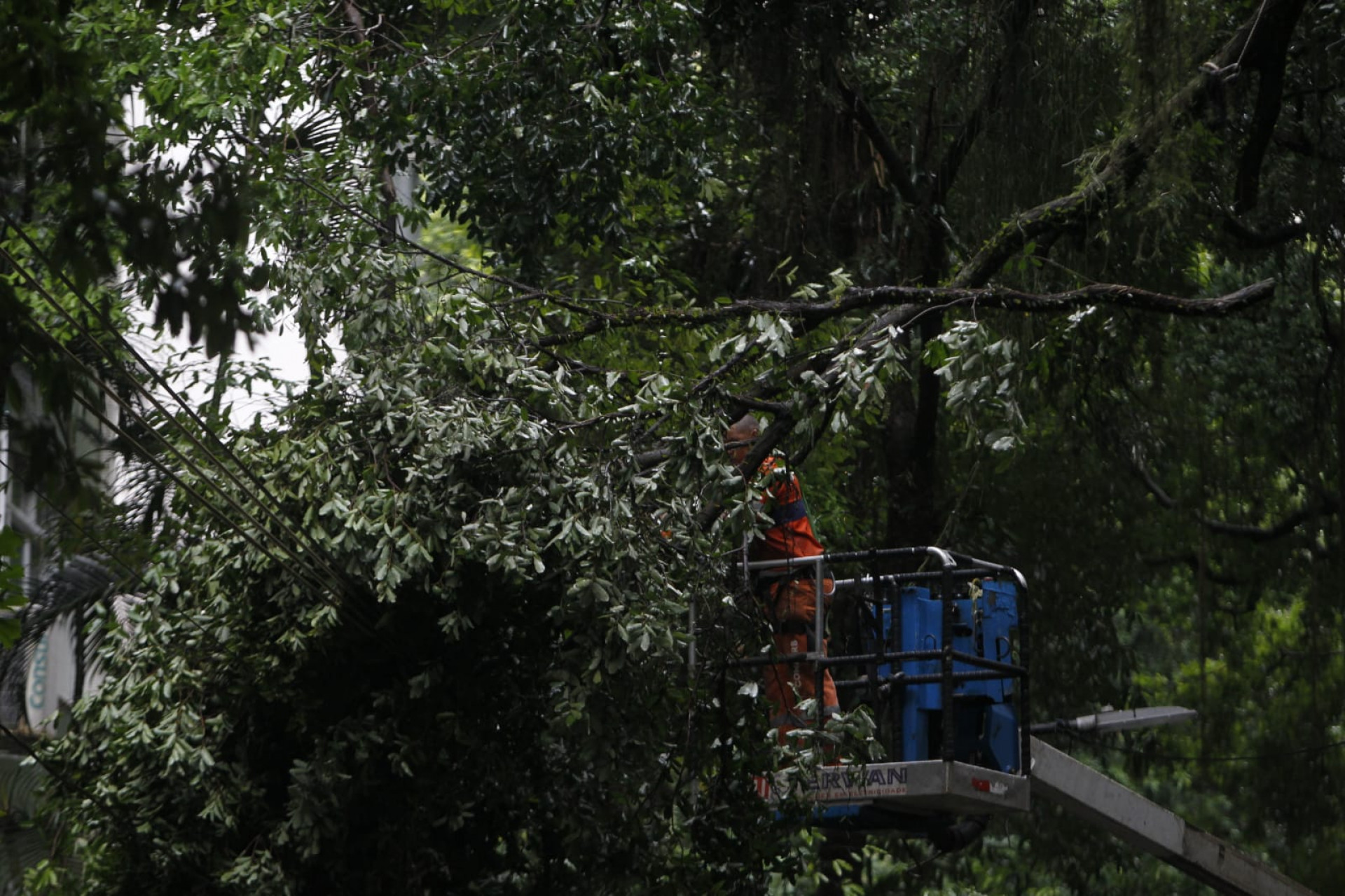 Funcionários da Comlurb retiram galhos de árvore que caiu na Rua Santa Clara, em Copacabana - Reginaldo Pimenta / Agência O Dia
