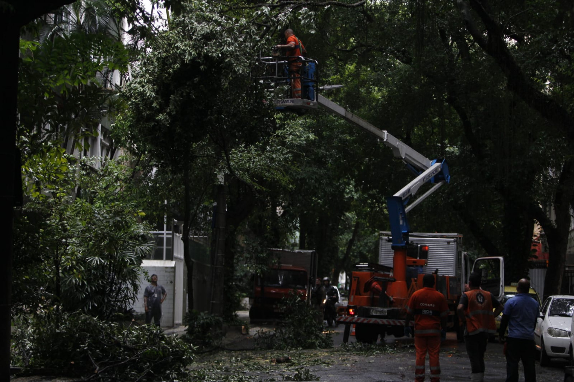 Funcionários da Comlurb retiram galhos de árvore que caiu na Rua Santa Clara, em Copacabana - Reginaldo Pimenta / Agência O Dia