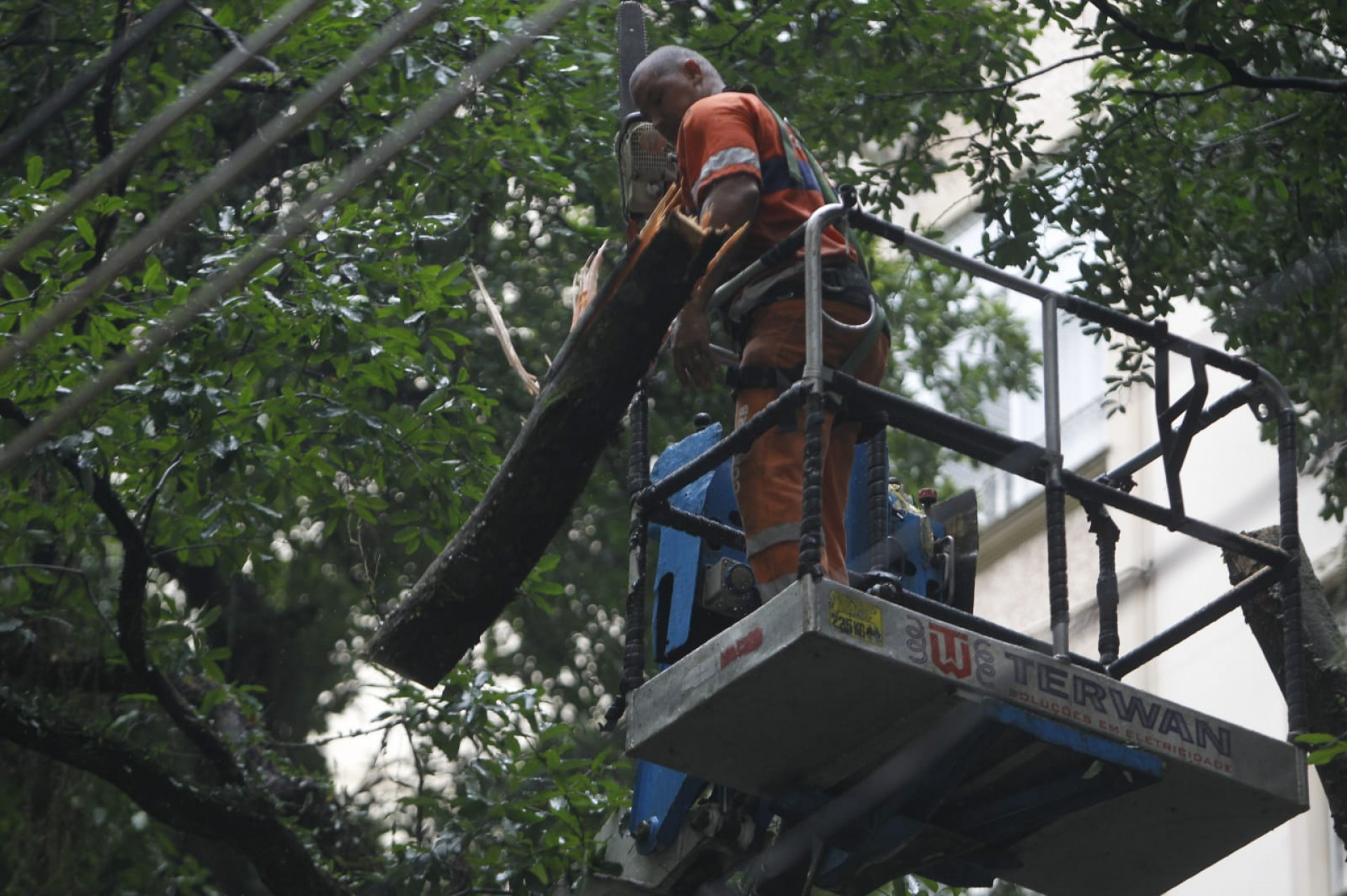 Funcionários da Comlurb retiram galhos de árvore que caiu na Rua Santa Clara, em Copacabana - Reginaldo Pimenta / Agência O Dia
