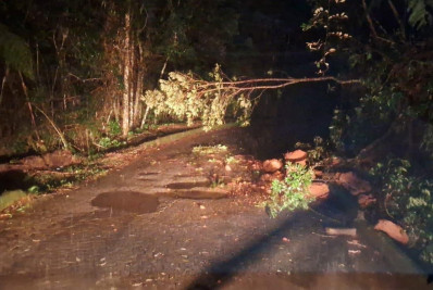 Transporte público tem 32 linhas de ônibus impactadas  por obstruções viárias em Petrópolis