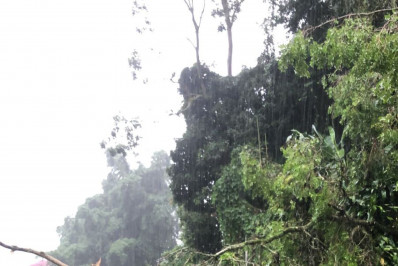 Defesa Civil atualiza para 366 o número de ocorrências registradas em função da chuva em Petrópolis