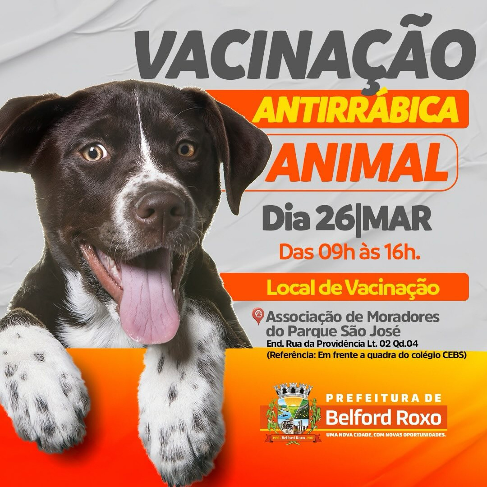 Vacina&ccedil;&atilde;o Antirr&aacute;bica - Parque S&atilde;o Jos&eacute; - Divulga&ccedil;&atilde;o  / PMBR