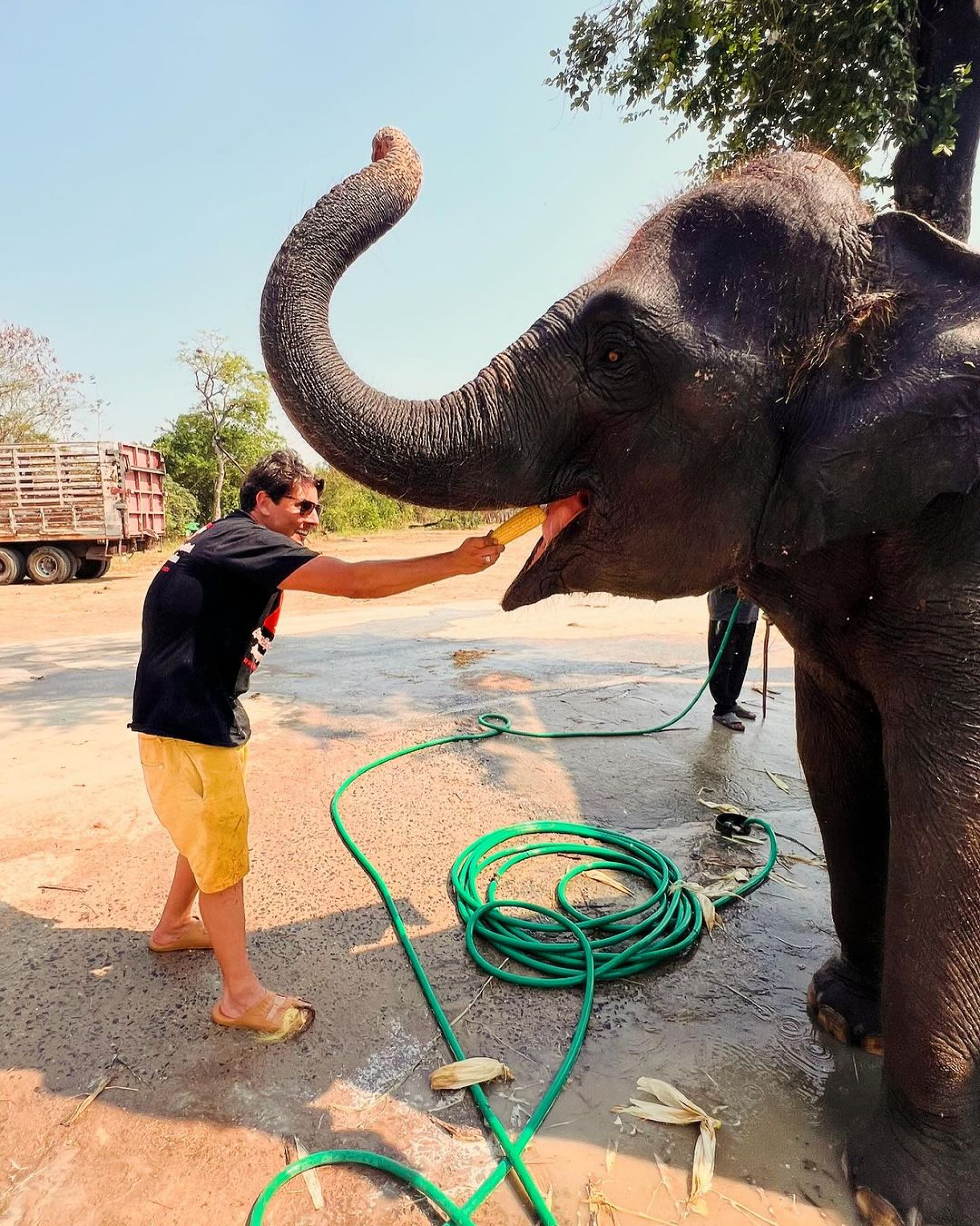 Bruno de Luca compartilha fotos de viagem à Tailândia


 - Reprodução / Instagram 