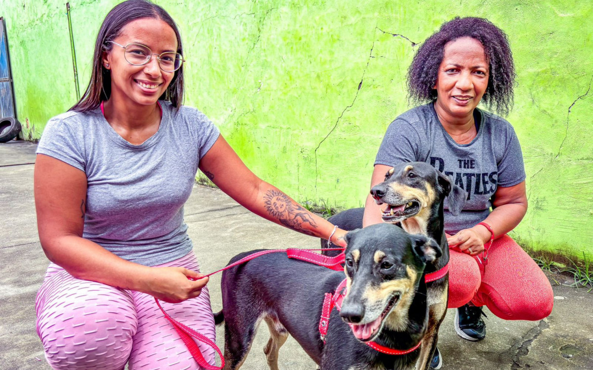 Acompanhada pela mãe Bárbara, a psicopedagoga Bianca Moreira levou os cachorros Aquiles e Apolo para vacinar