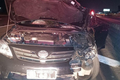 Acidente com cavalos soltos na Bandeirantes mata secretário e fere prefeito do interior de SP