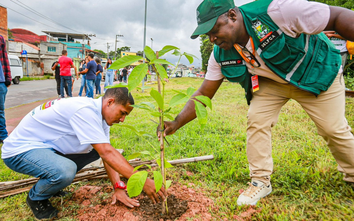 Funcionários da Secretaria de Meio Ambiente plantaram diversas mudas