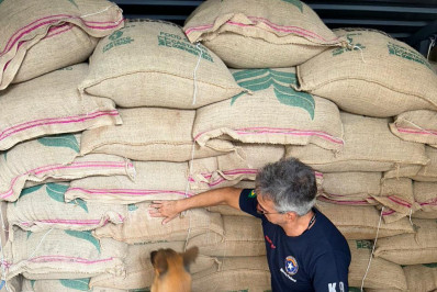 Receita Federal apreende cocaína em sacos de café no Porto do Rio