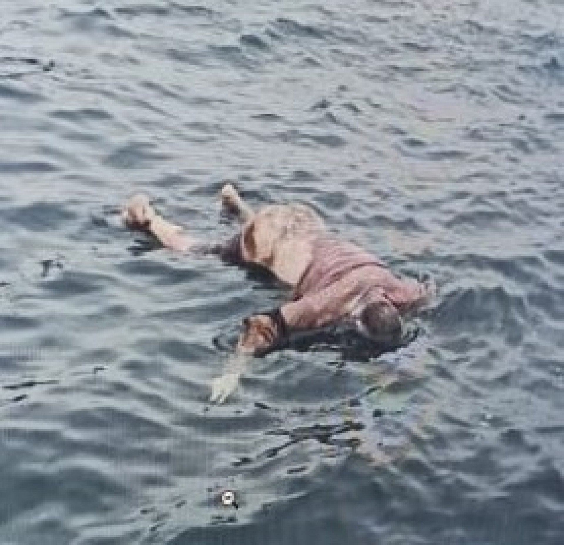 Corpo do mestre da lancha desaparecido há cinco dias é retirado do mar pelos Bombeiros - Divulgação