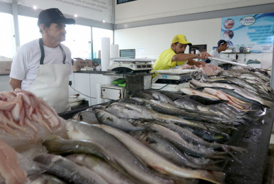 Mercado de Peixes de Macaé pronto para a Semana Santa