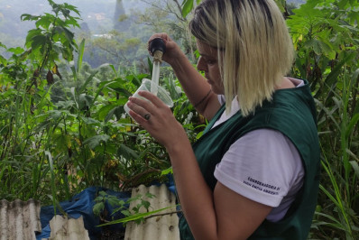 Petrópolis terá segundo Dia D de Combate à Dengue