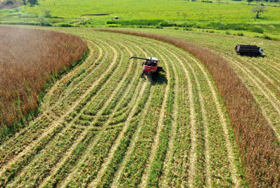 Primeiro trimestre é o melhor da série histórica em abertura de mercados para o agronegócio