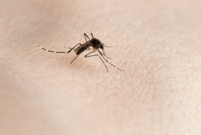 Carro fumacê continua atuação no combate à dengue em Araruama; confira cronograma 