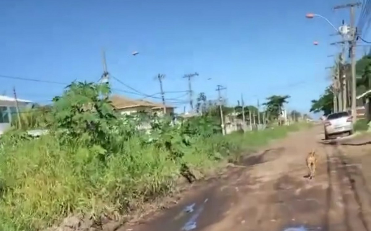 Falta de ação por parte da Prefeitura tem gerado revolta na comunidade, que convive diariamente com buracos